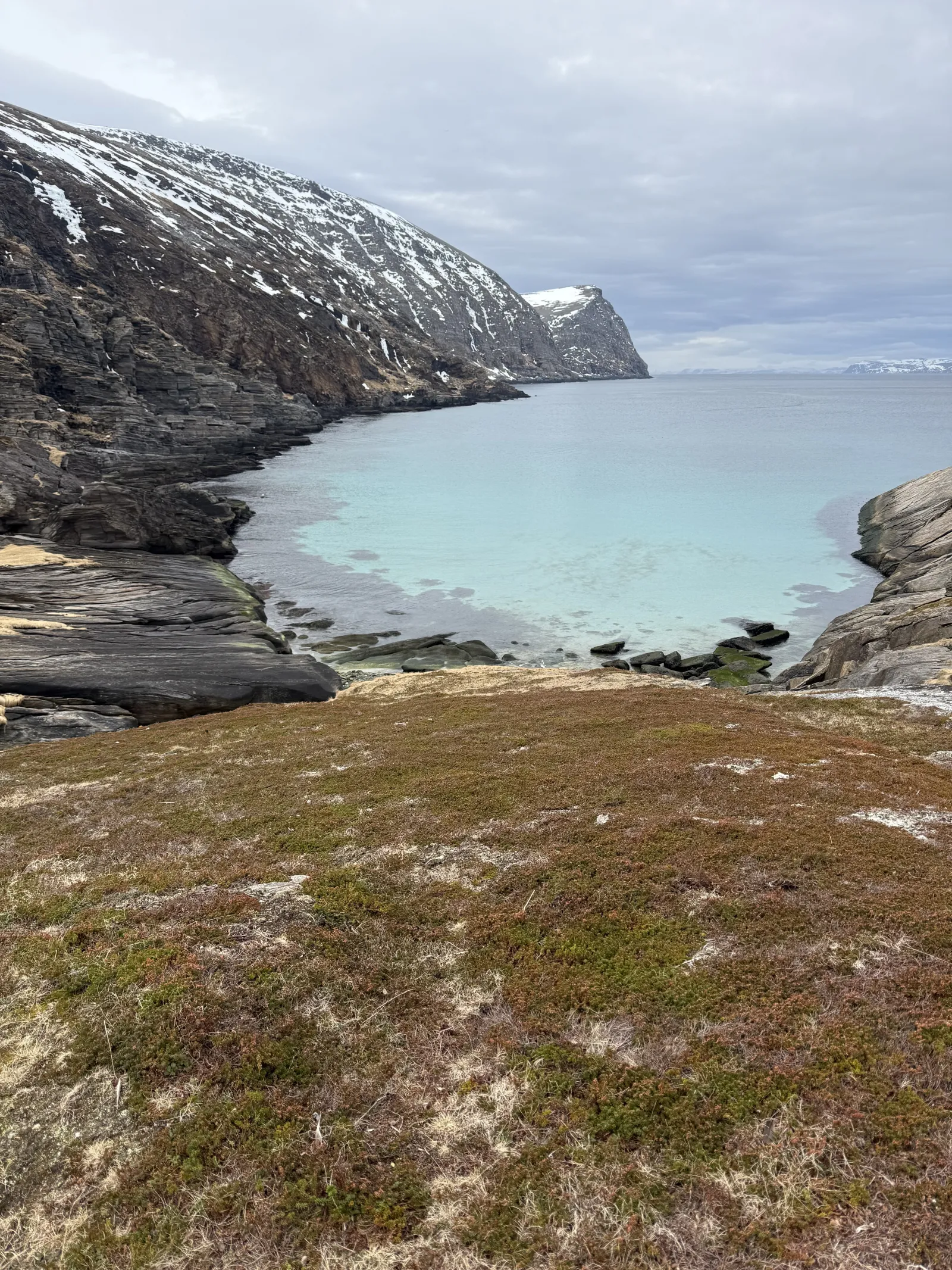 Foto: Katrine Amundsen 