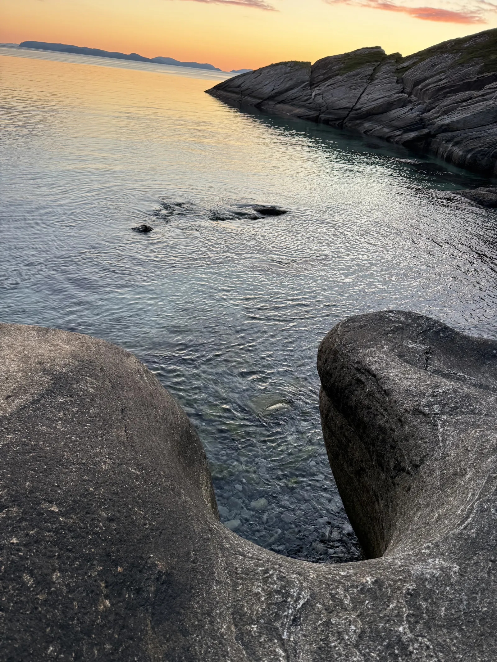 Foto: Katrine Amundsen 