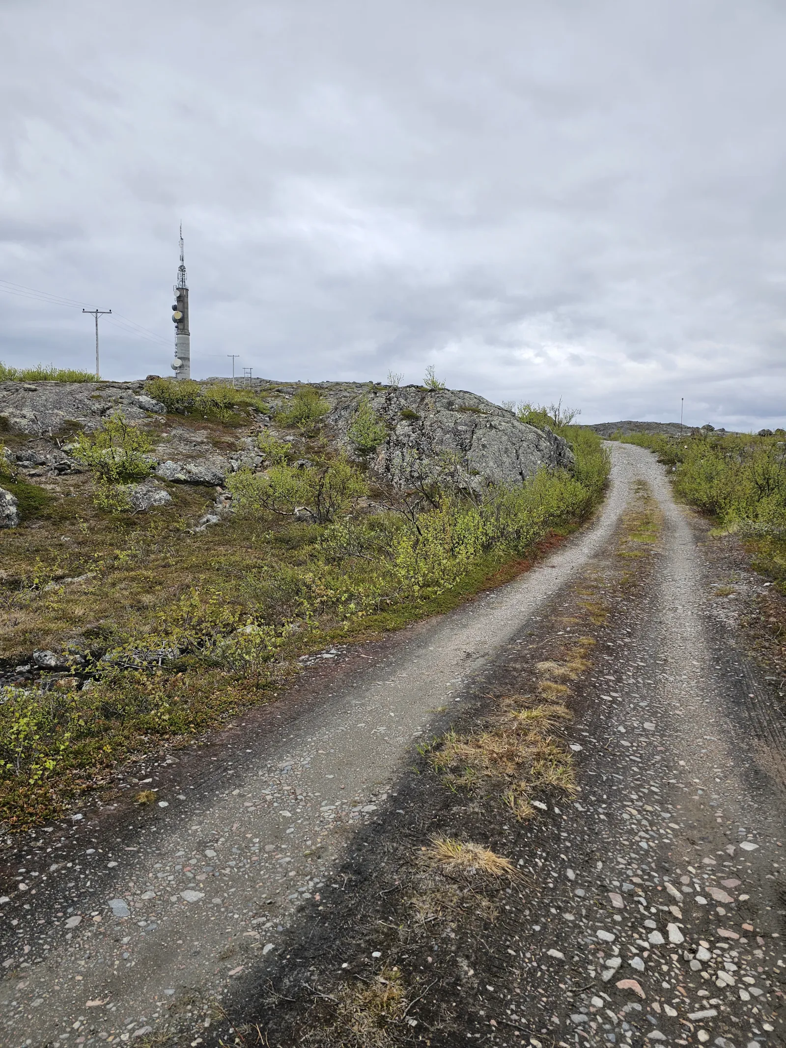 På tur opp til Reppentårnet.