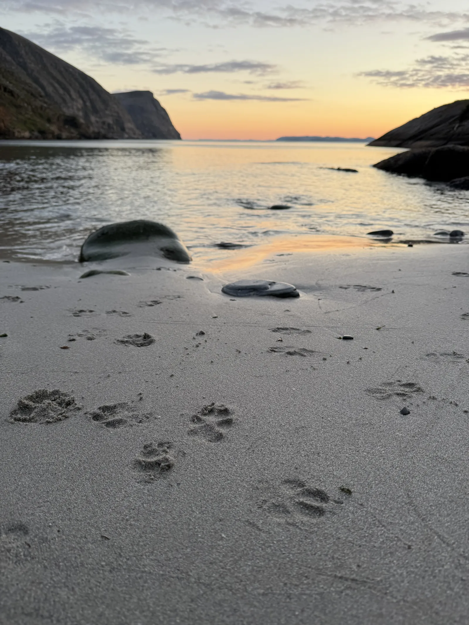 Foto: Katrine Amundsen 