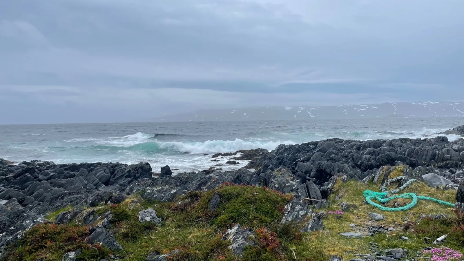 havet