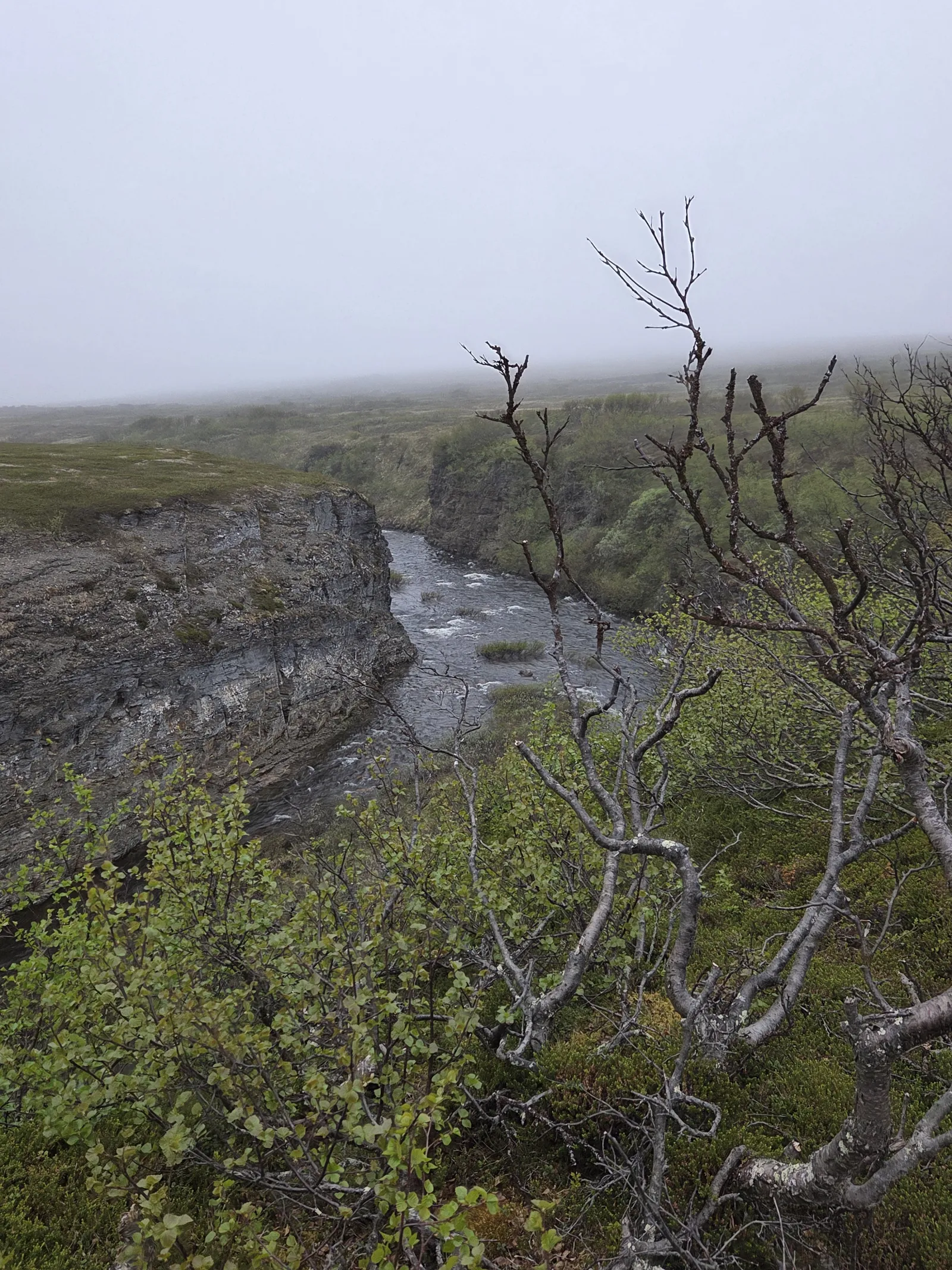 Foto: Andreas Rystrøm