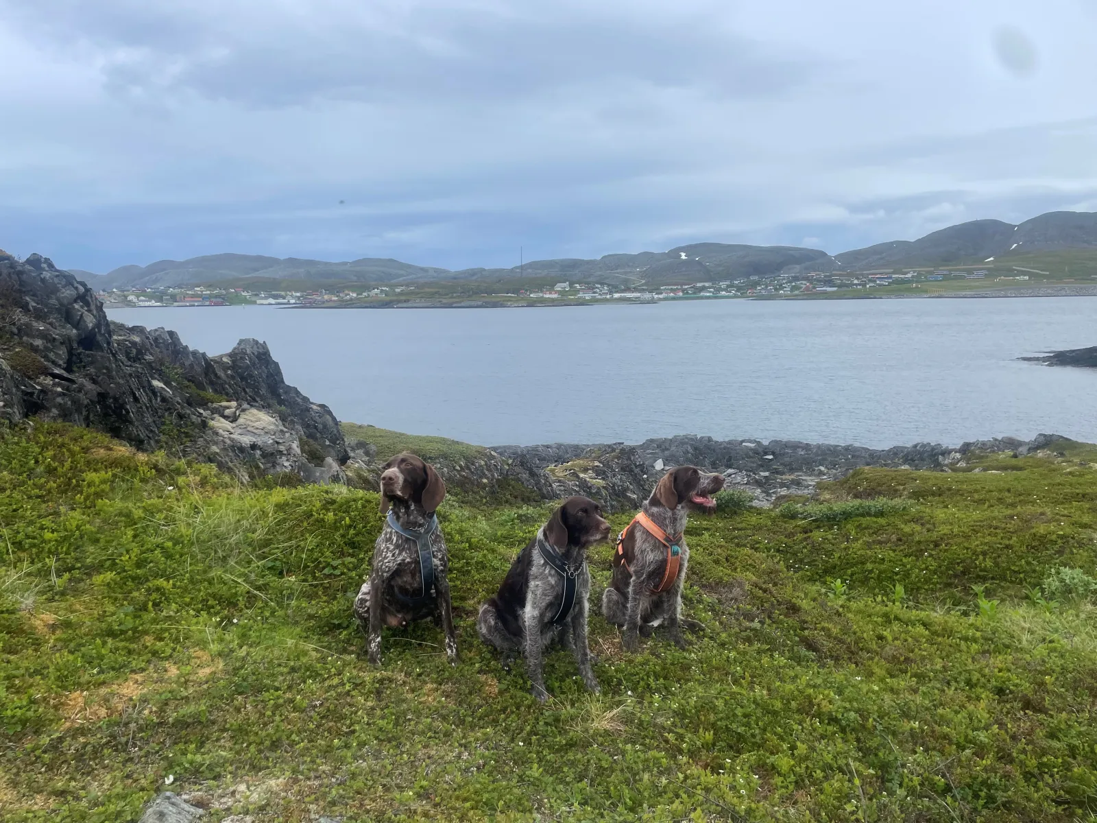 Skilte før hyttene på Strand