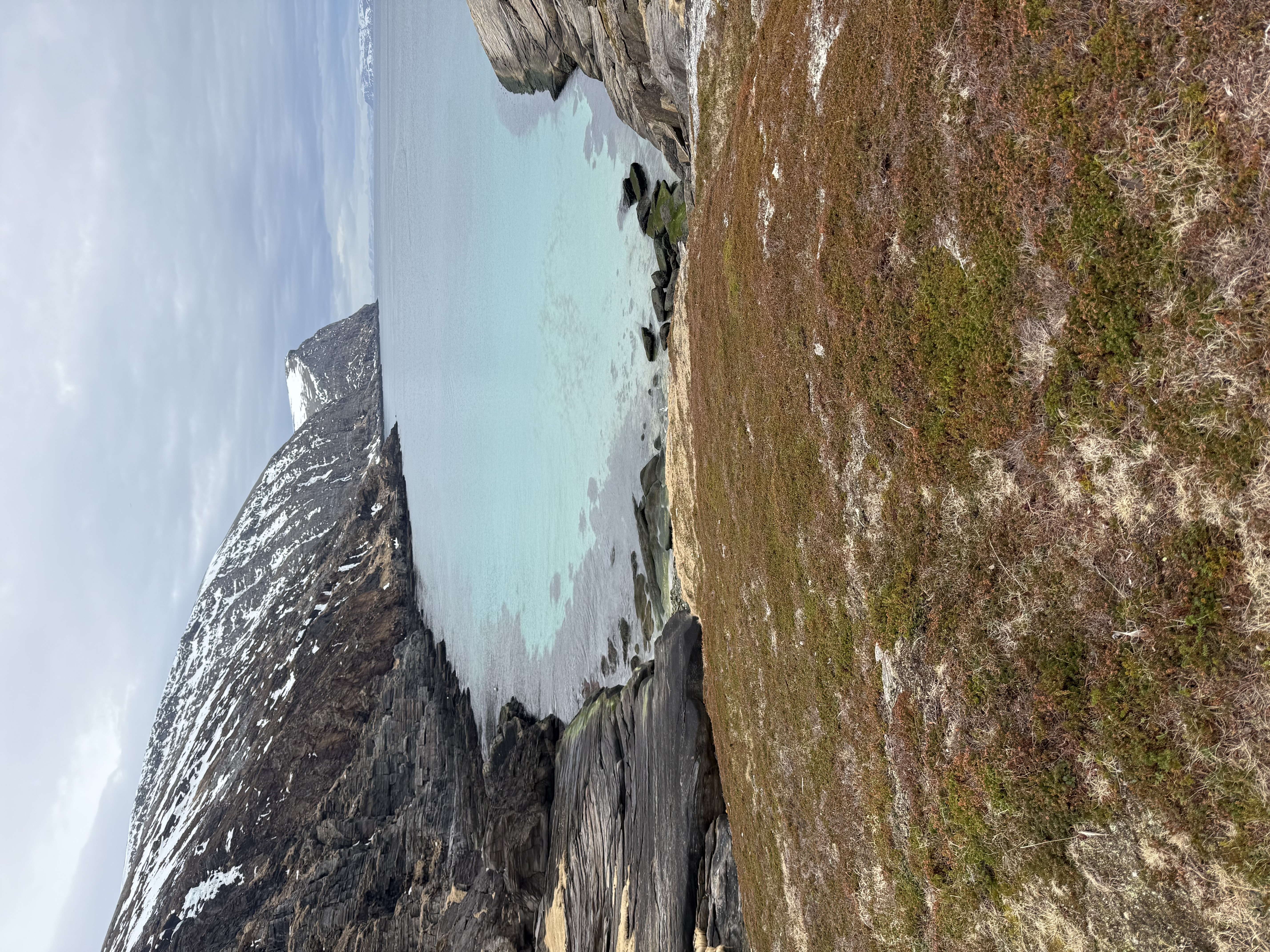 Foto: Katrine Amundsen 