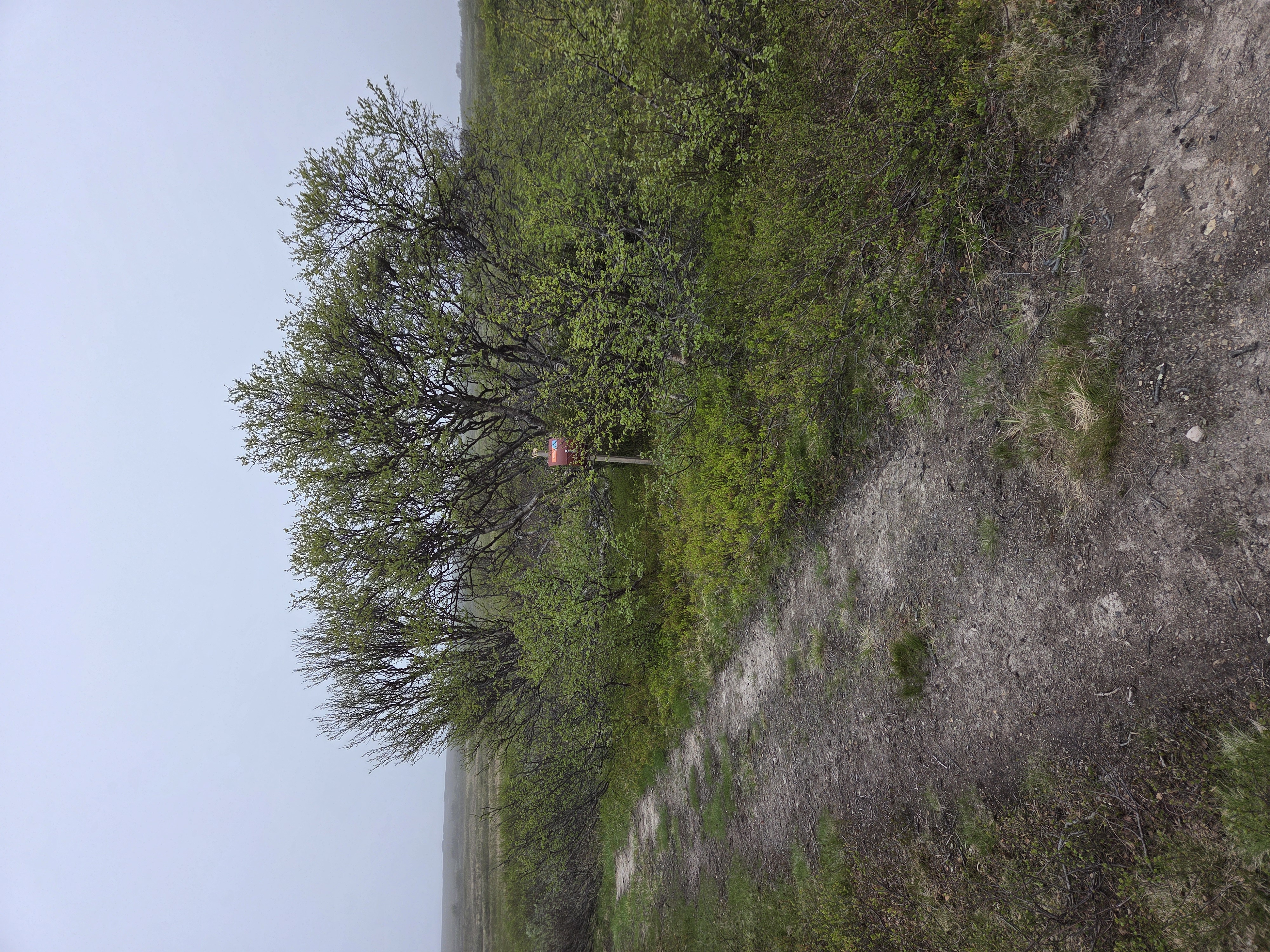 Foto: Andreas Rystrøm