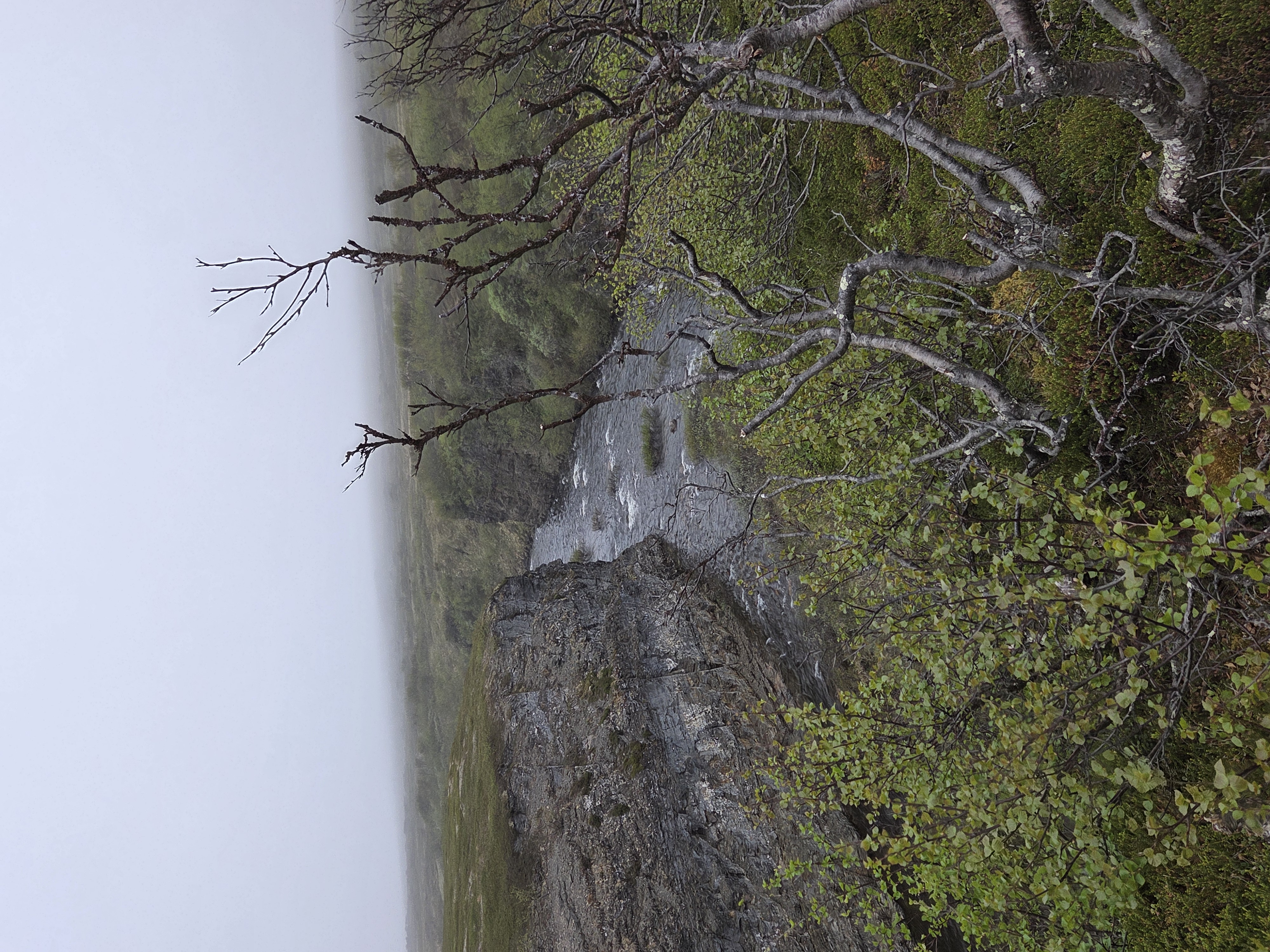 Foto: Andreas Rystrøm